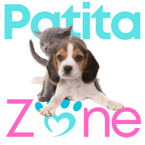 Patita Zone